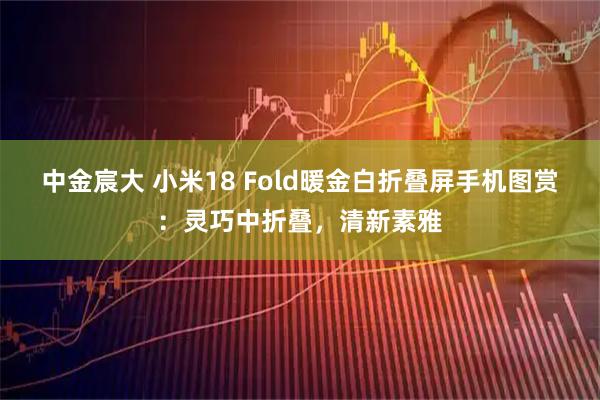 中金宸大 小米18 Fold暖金白折叠屏手机图赏：灵巧中折叠，清新素雅