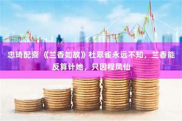 忠琦配资 《兰香如故》杜翠雀永远不知，兰香能反算计她，只因程凤仙