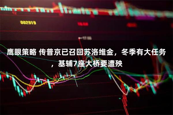 鹰眼策略 传普京已召回苏洛维金，冬季有大任务，基辅7座大桥要遭殃