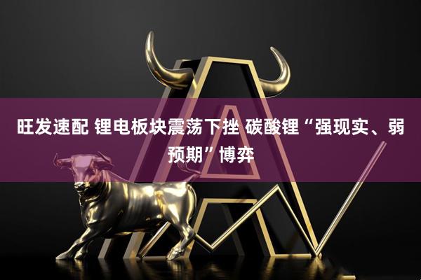 旺发速配 锂电板块震荡下挫 碳酸锂“强现实、弱预期”博弈