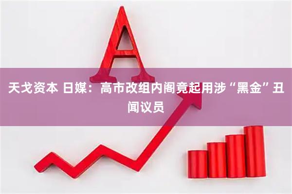天戈资本 日媒：高市改组内阁竟起用涉“黑金”丑闻议员